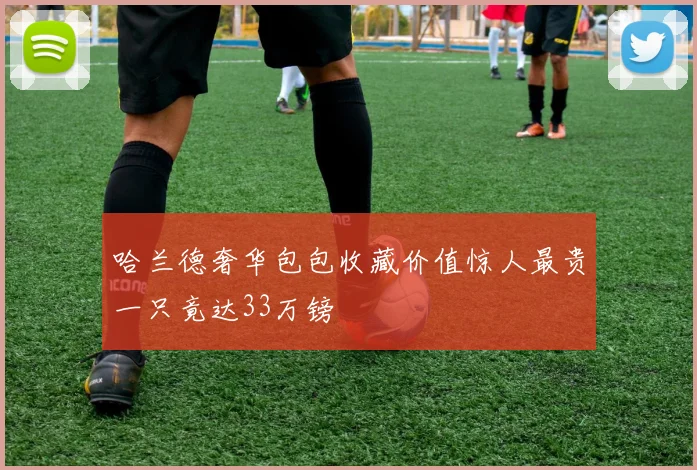 哈兰德奢华包包收藏价值惊人最贵一只竟达33万镑
